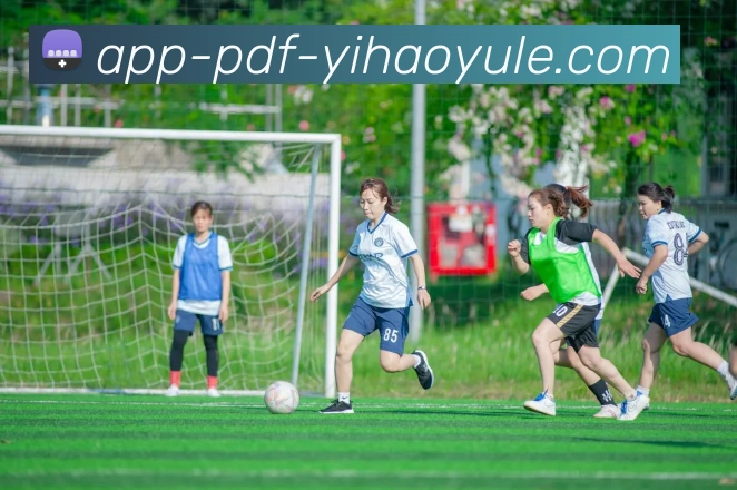 壹号娱乐APP全站App